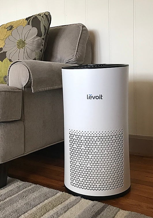 Descubre los mejores purificadores para mejorar el aire de tu hogar