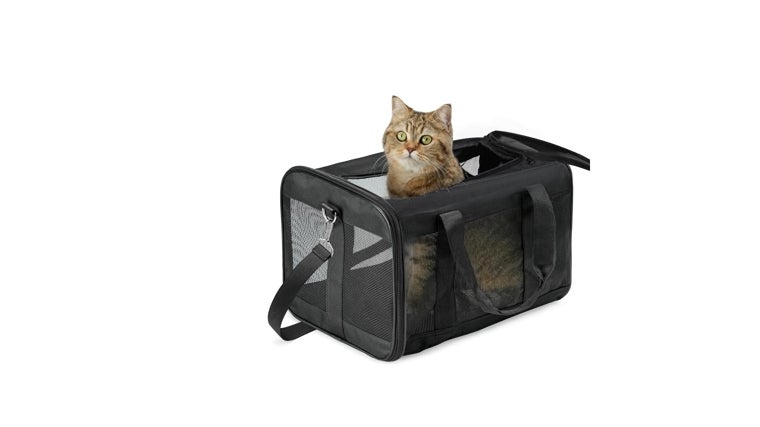 Transportines para viajar con tu mascota este verano