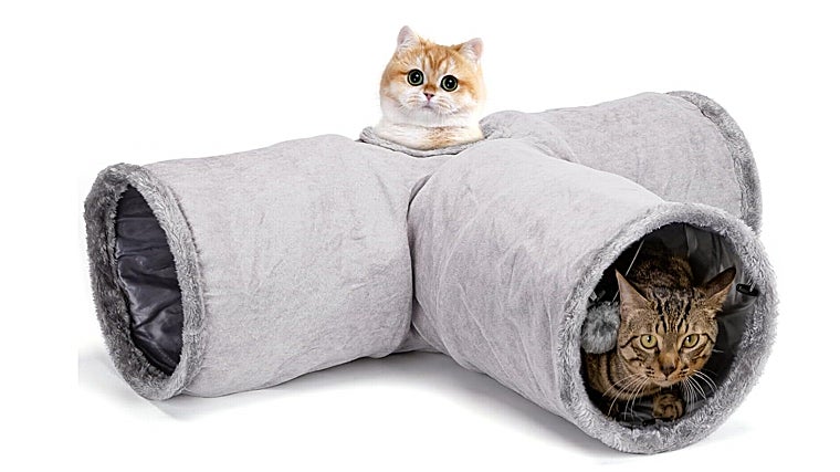 Dale a tu mascota lo que se merece: estos son los 7 accesorios para gatos más vendidos en Amazon