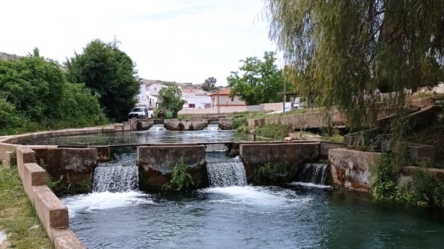 Instalaciones de Caviar Riofrío en Granada. Piscinas de esturiones con agua recién brotada del manantial del río Frio