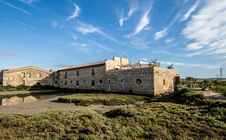 Imagen principal - Aponiente se encuentra ubicado en un antiguo molino de mareas del Puerto de Santa María (Cadiz). junto a estas líneas, la zostera marina (el arroz del mar)