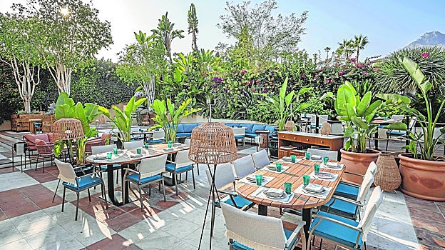 Dónde comer en la Costa del Sol: la oferta más completa