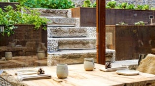 Imagen principal - Montia