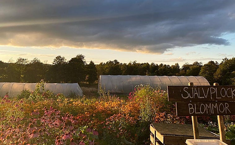 Imagen principal - Proyecto Stedsans in the Woods de los daneses Mette Helbæk y Flemming Hansen en una finca perdida en el bosque sueco de Hytebrik