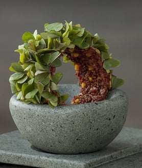 Imagen secundaria 2 - Rodolfo Guzmán, el restaurante Boragó y una de sus elaboraciones