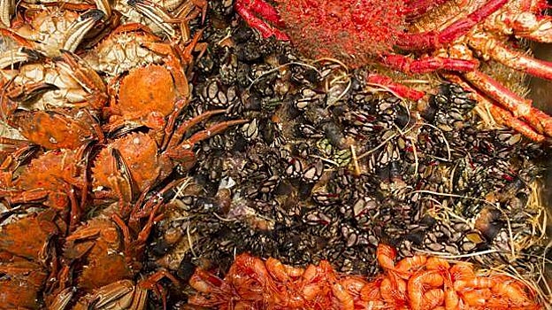 El marisco es el rey de las mesas de Nochebuena en Galicia