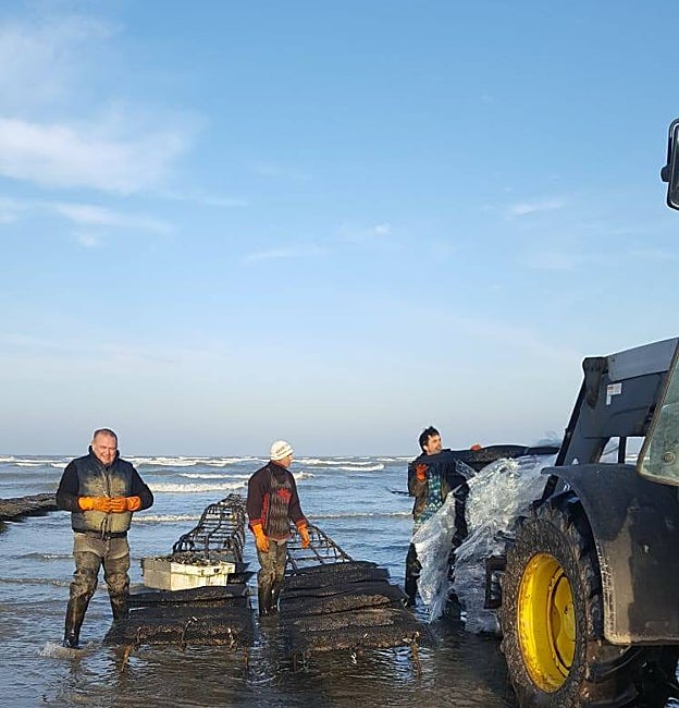 Ostras Daniel Sorlut: El sabor de la tradición, todo un placer
