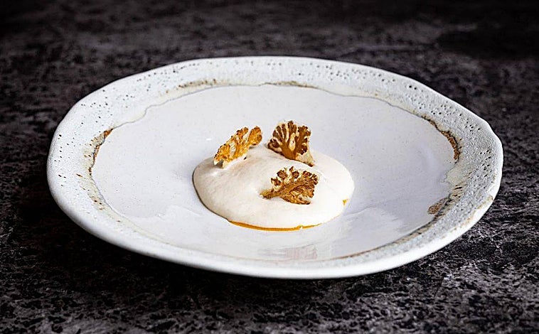 Imagen principal - Sobre estas líneas, arriba, ostra valenciana en escabeche de coliflor de María José Martínez (Lienzo). Abajo, a la izquierda, uno de los platos de la chef Cristina Figueira, de El Xato. A la derecha, tartar de cordero de María José San Román (Monastrell)