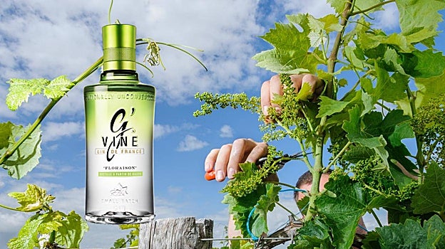 Ginebra G'Vine Floraison