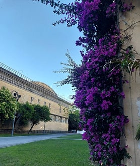 Imagen secundaria 2 - Bodegas González Byass está en el centro de Jerez. En sus instalaciones pueden verse botas firmadas por famosos, entre otros puntos de interés.