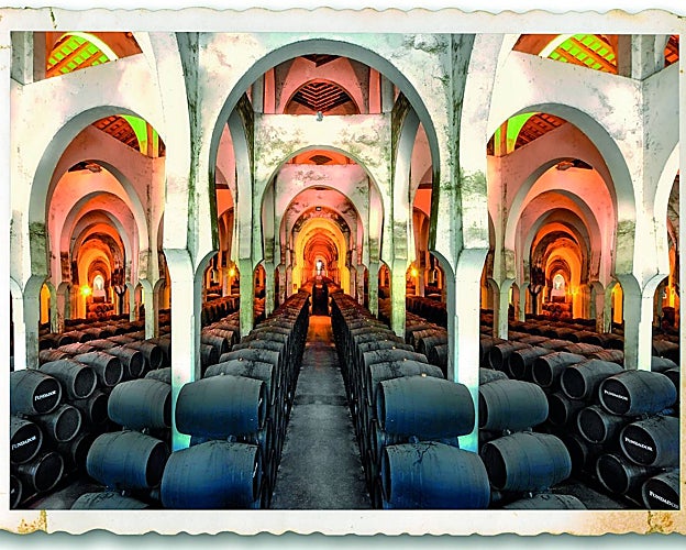 'Mezquita' del vino de Patrick Murphy, padre de Bodegas Fundador