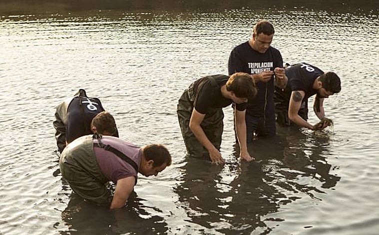 Imagen principal - El equipo de Ángel León lleva 7 años investigando y trabajando con la zostera marina