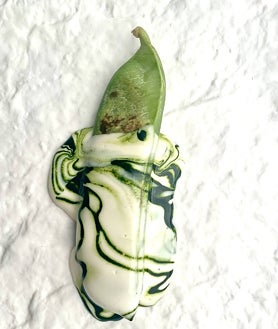 Imagen secundaria 2 - Aspecto de la 'Canavalia Rosea', la soja marina, y algunas de las aplicaciones culinarias que ha encontrado Ángel León a esta fabácea halófita que crece en los litorales tropicales y subtropicales del mundo