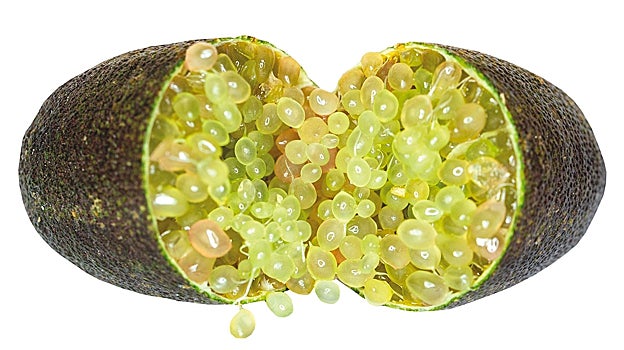 El caviar cítrico es una fruta exótica que proviene de Australia.