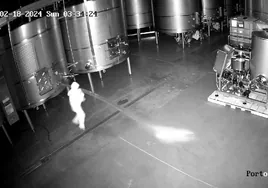 Más de 60.000 litros de vino por el sumidero: una cámara graba cómo un sujeto abre tres depósitos de la bodega Cepa 21