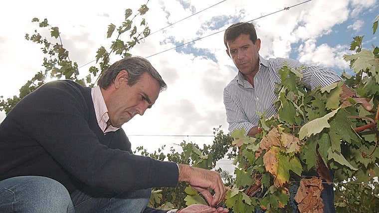 José Moro (izquierda) y su hermano Javier, en una imagen de archivo de 2005 cuando lideraban juntos la bodega Emilio Moro