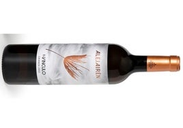 Alejairen crianza 2020: un blanco pionero con vocación de guarda