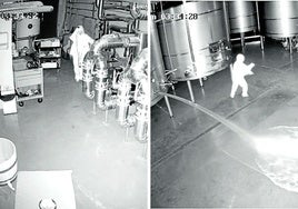 El plan que urdió la presunta autora del sabotaje a la bodega Cepa 21 tras saber que iba a ser despedida