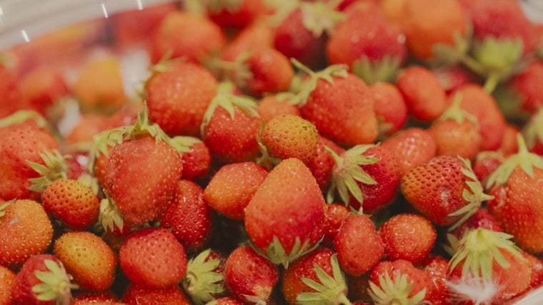 Fresas empleadas para la receta