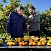 El desconocido jardín con 500 variedades de cítricos que inspira a la alta cocina