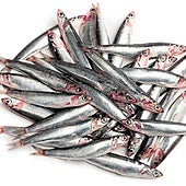 Anchoas, boquerones o bocartes: tres nombres para un mismo pez
