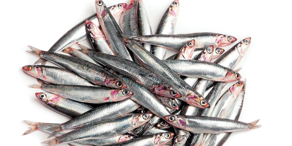 Anchoas, boquerones o bocartes, tres nombres para un pez