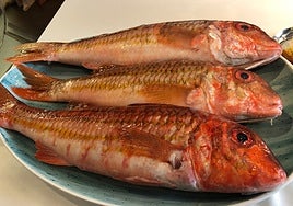 Salmonete, el sabor del mar