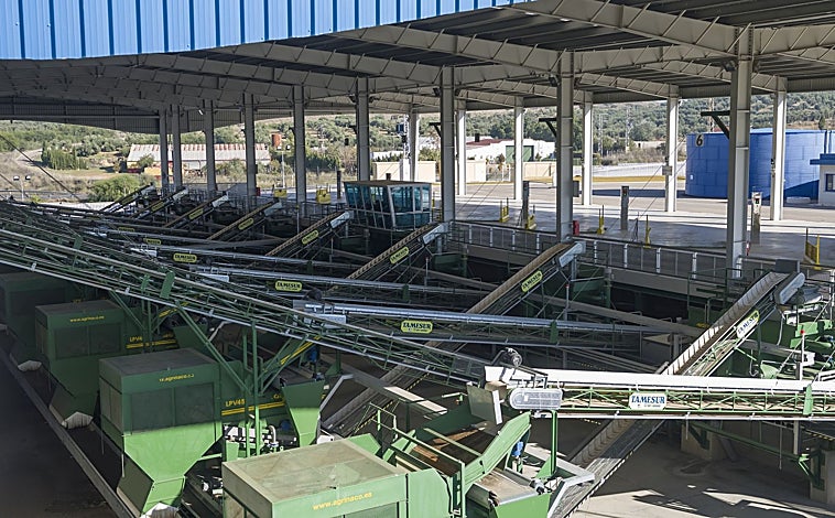 Imagen principal - Instalaciones de Picualia en Bailén