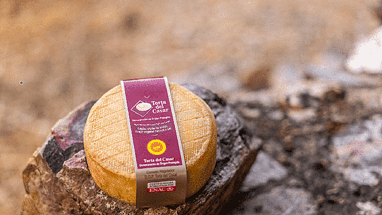 Queso Torta del Casar