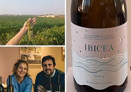 Ibicea, el renacer de una marca
