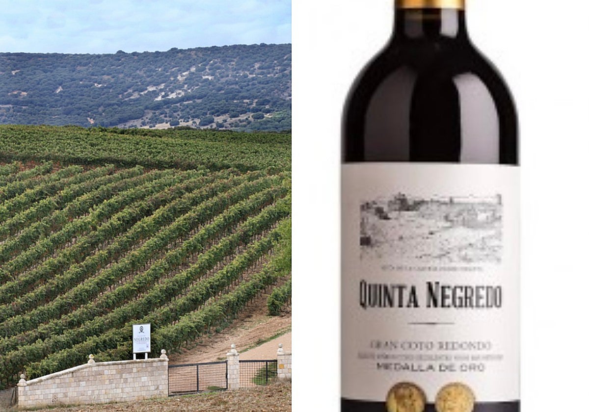 De la bodega Pagos de Negrero, en Palencia, sale este Gran Coto Redondo