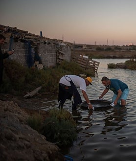 Imagen secundaria 2 - La Taberna del Chef del Mar, Ángel León en la entrada de Aponiente y en las marismas.
