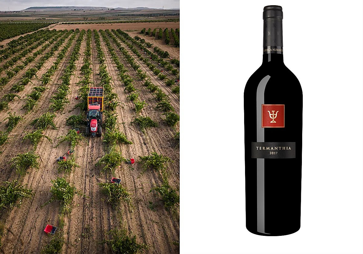 Thermanthia, elaborado por Numanthia en la DO Toro