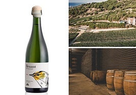 Bruant 20 Aniversario, las burbujas de una intuición