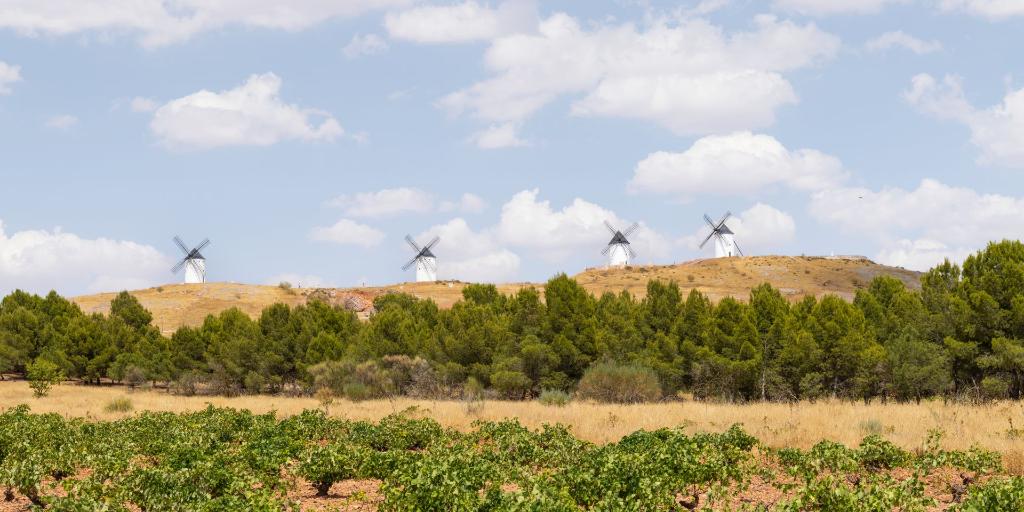 Castilla-La Mancha: Vinos Campo y Alma, sencillamente extraordinarios