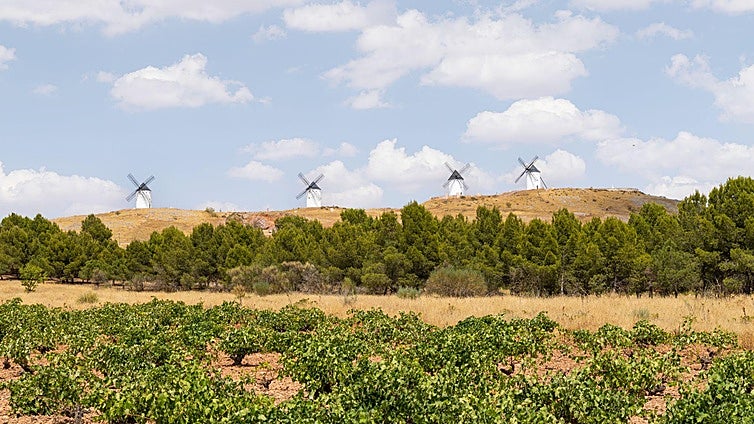 Castilla-La Mancha: Vinos Campo y Alma, sencillamente extraordinarios