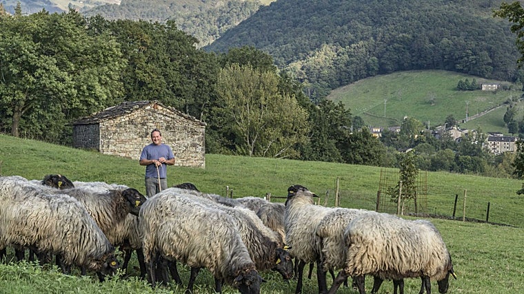 Isidro Crespo, pastor de Cabañas de Pax
