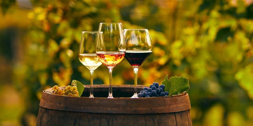 Cómo se puntúa un vino: escalas, críticos y formas de interpretar la calidad