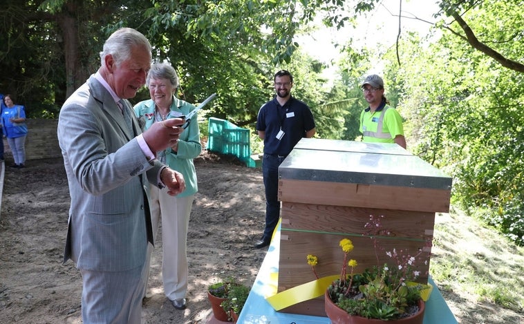 La Casa Real británica avisa a las abejas reales de la muerte de Isabel II