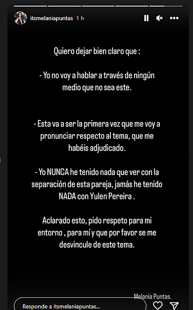 Las palabras de Melania Puntas