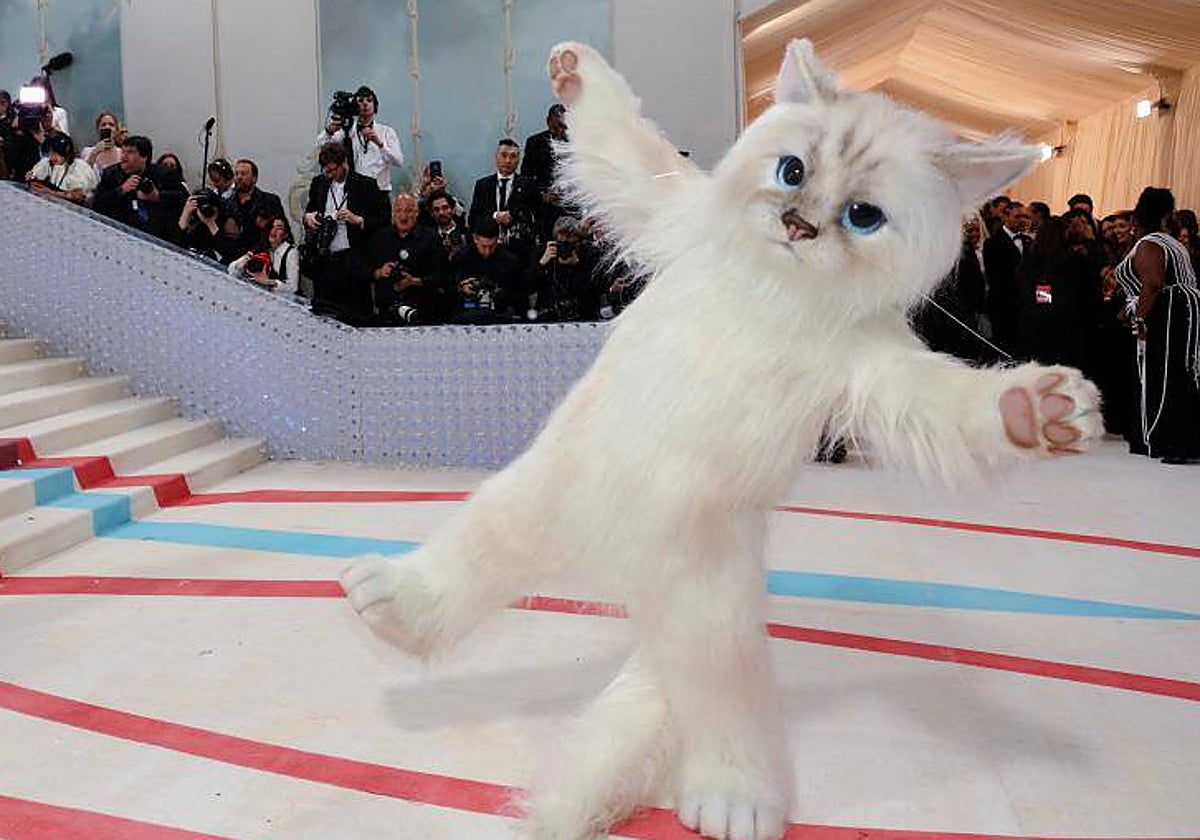 Jared Leto acudió a la alfombra roja disfrazado de gato