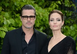 Angelina Jolie y Brad Pitt en disputa por sus viñedos: «Actuó como un niño petulante»