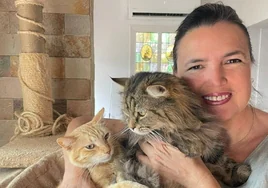 Eva Cobo: «Mis gatos tienen un sexto sentido»
