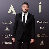 Antonio Banderas encuentra una sorpresa en su café