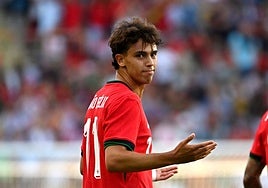 La vida personal de Joao Félix: su familia, su pasión por los animales y su dedicación al fútbol