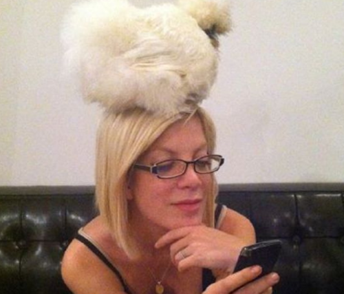 Tori Spelling con su gallina Coco