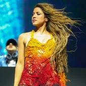 Shakira baja del escenario después de que intentasen grabarla por debajo de la falda