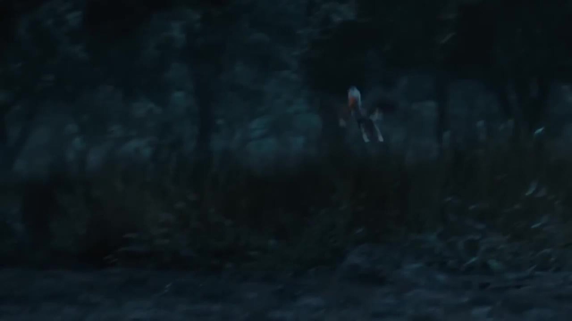 &#039;Mufasa: El Rey León&#039; llega este viernes a los cines