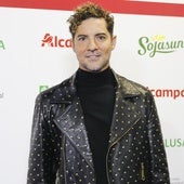 Una tortilla 'enfrenta' a David Bisbal y a su mujer Rosanna Zanetti