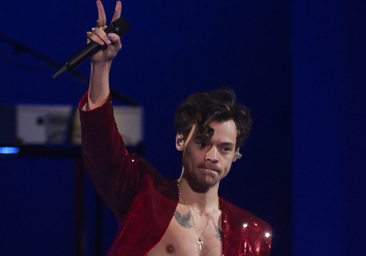 La asignatura viral de Harry Styles podría llegar a la universidad en España